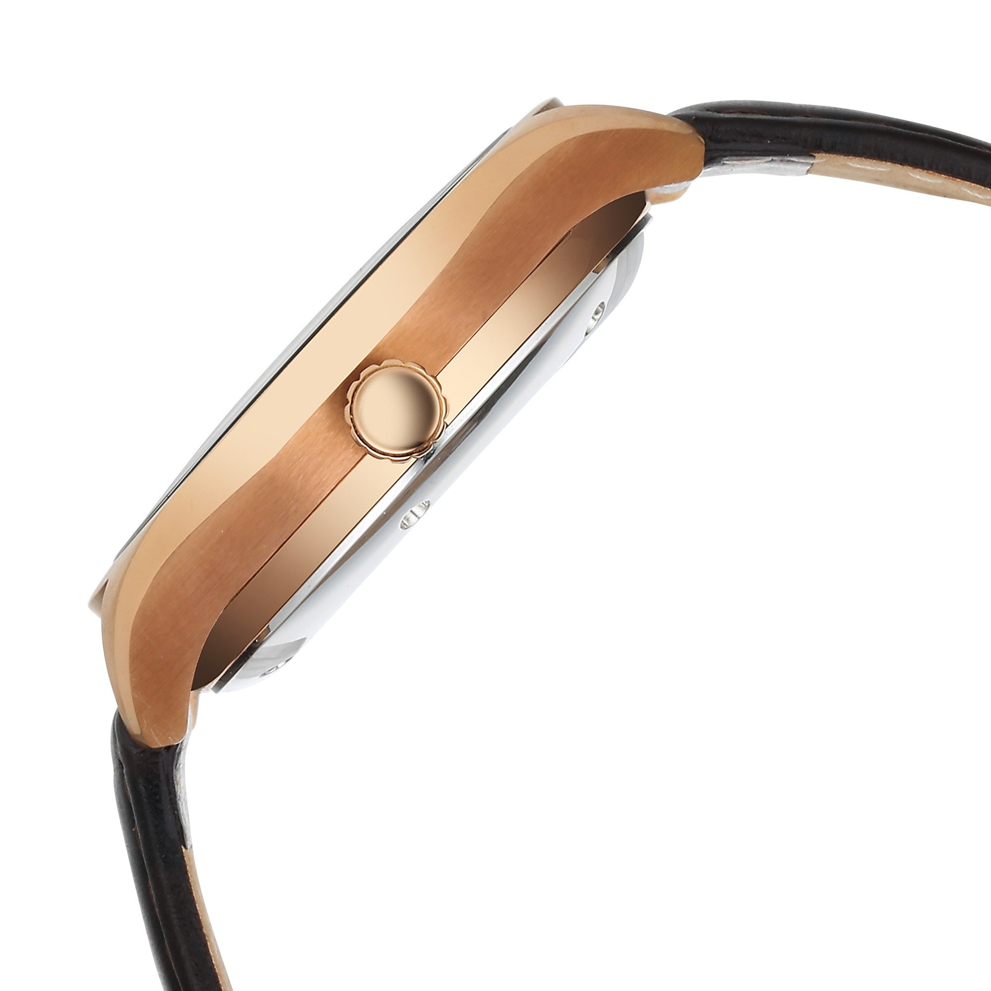 Titan Stellar Starlight Analog with Concealed Automatic and Brown Dial Brown Leather Strap Watch for Men 10051QL01