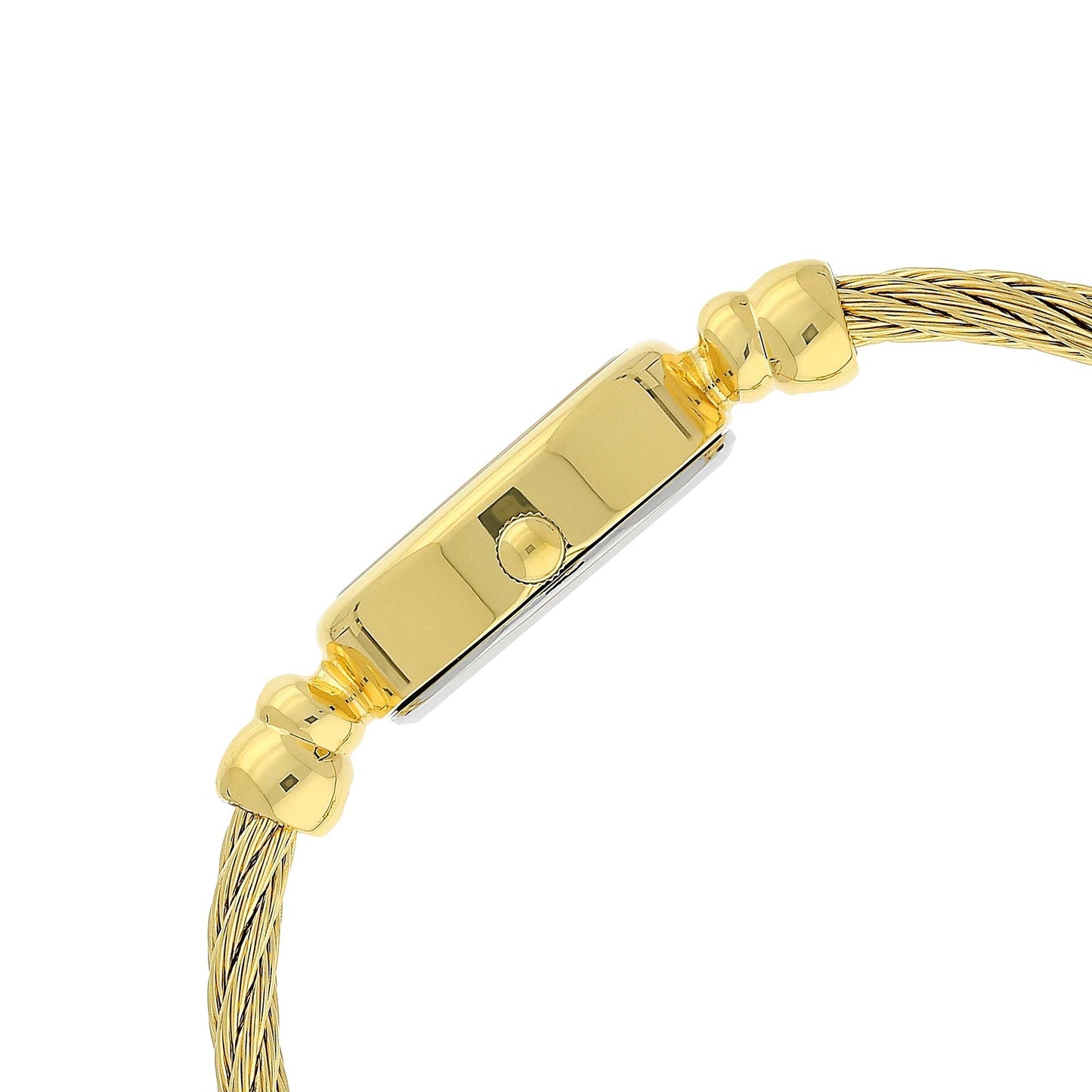 Titan Quartz Analog Mother of Pearl Dial Metal Strap Watch for Women
