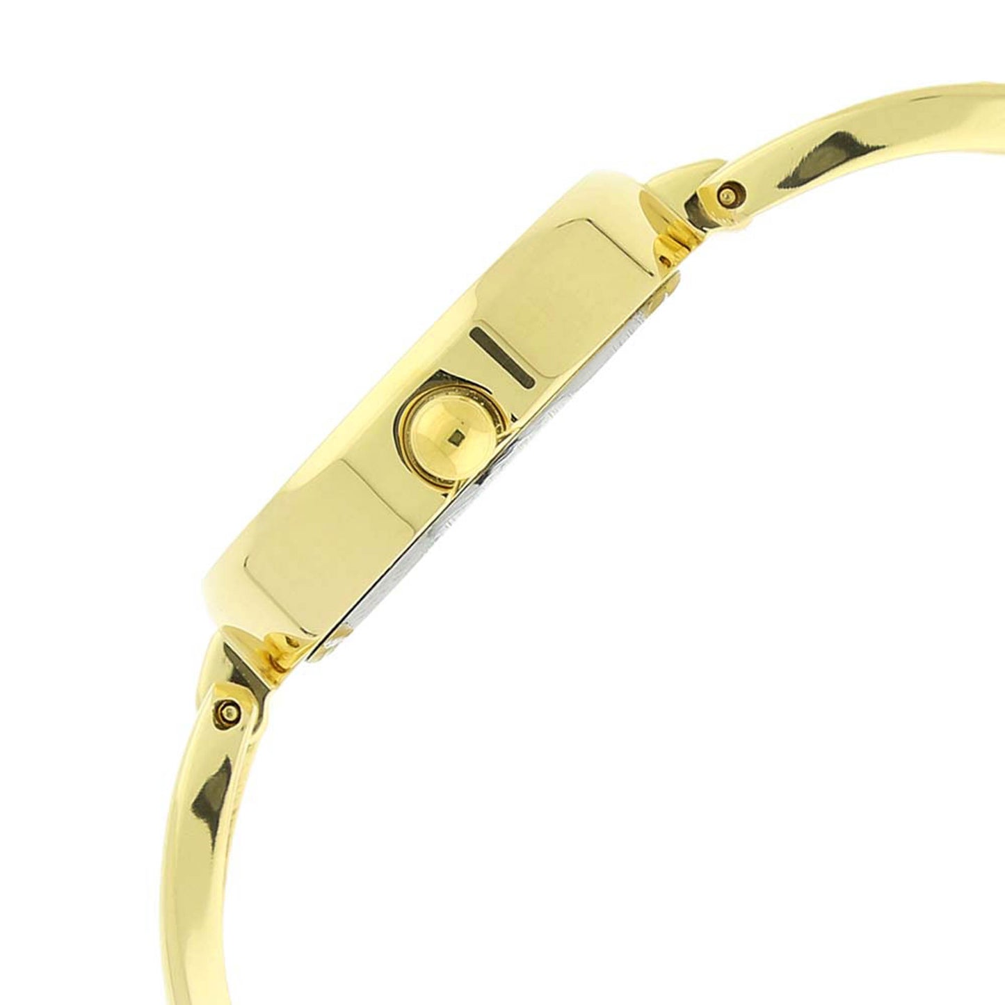 Titan Raga Viva Champange Dial Alog Watch for Women (2579YM01)