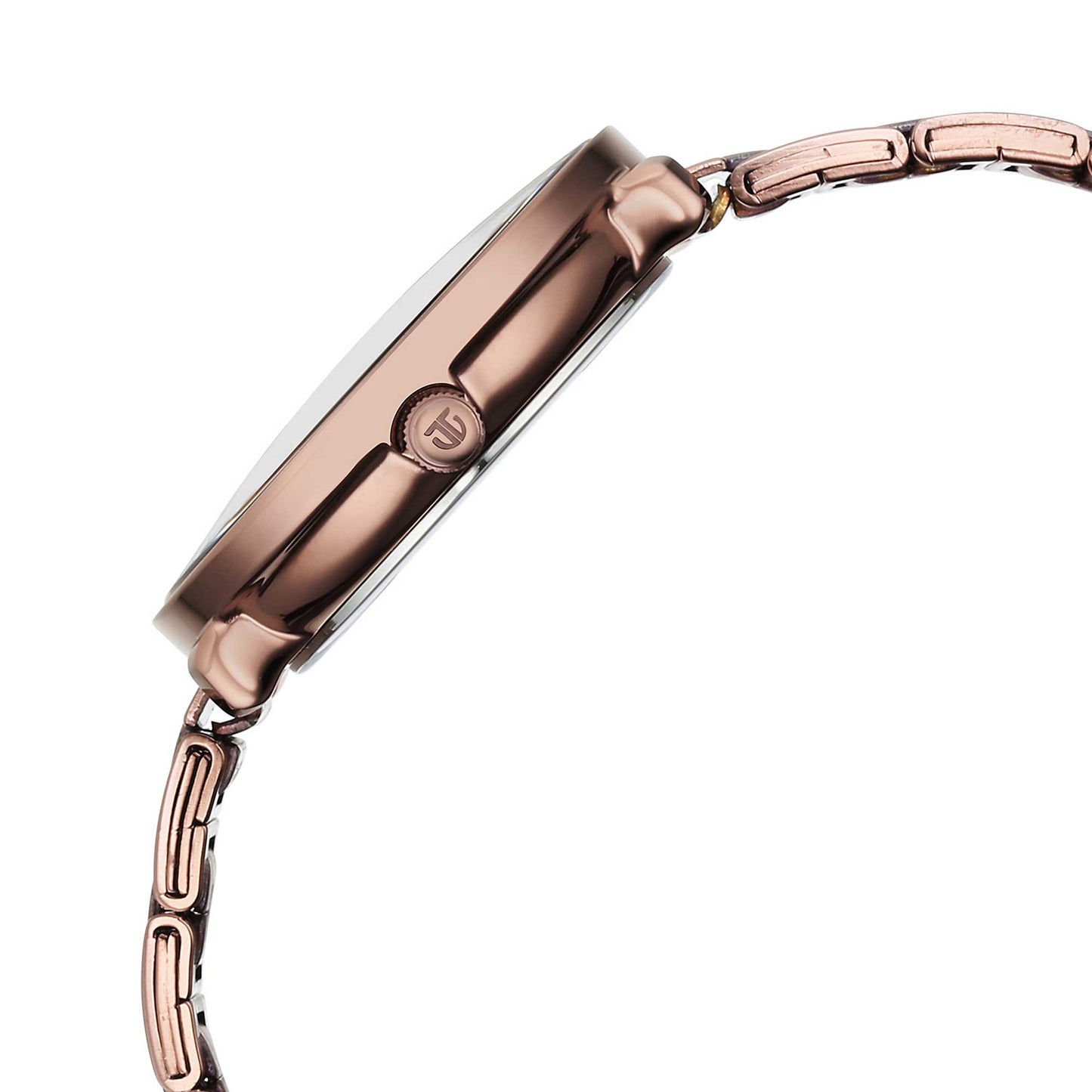 Titan Marhaba Brown Dial Alog Stainless Steel Strap watch for Women (2651QM03)