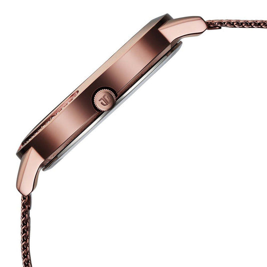 Titan Razzle Dazzle Quartz Alog Brown Dial Stainless Steel Mesh Strap Watch For Women (2764QM01)