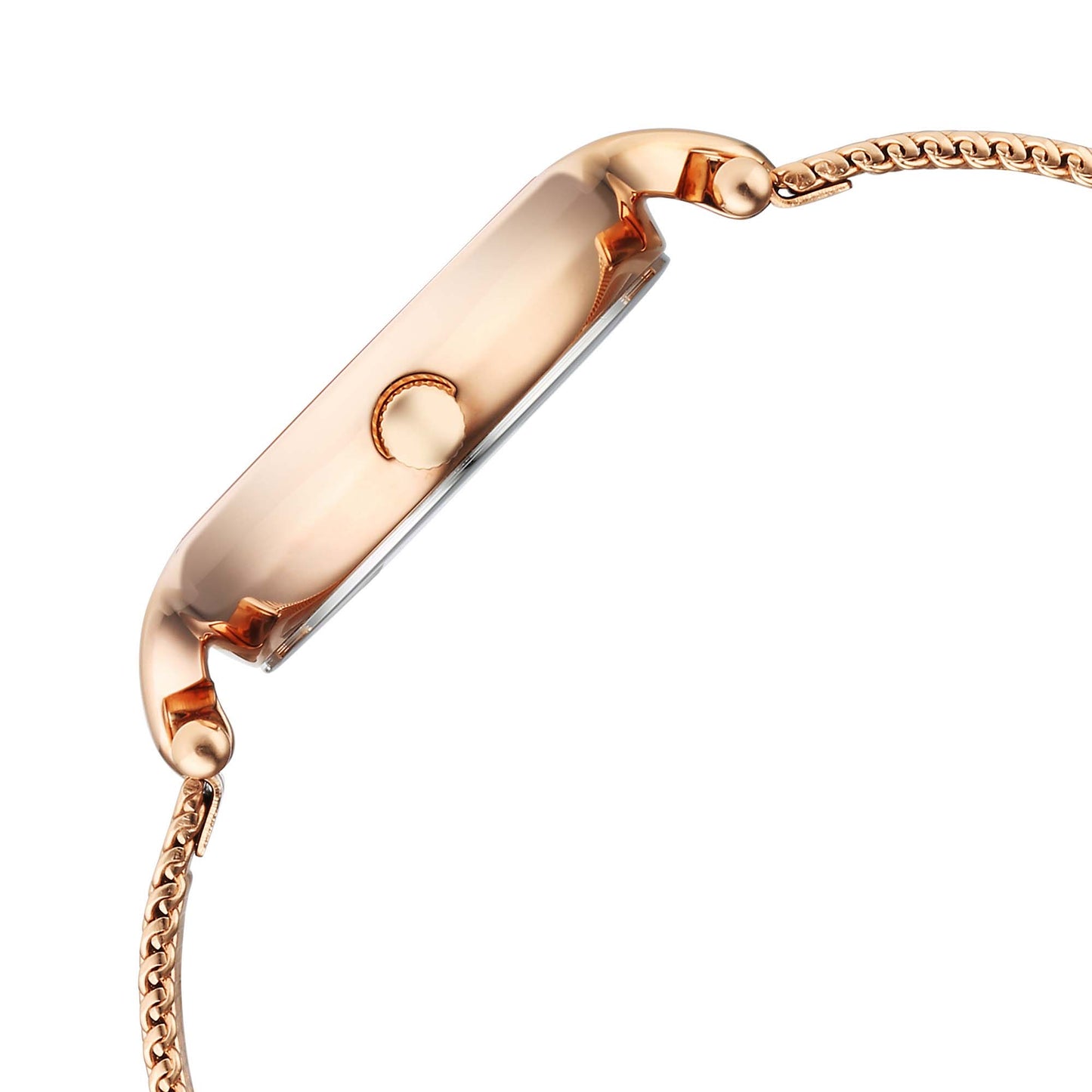 Titan Raga Showstopper 2.0 Case Material Stainless Steel ShapeRound Women Watch (95268WM01)