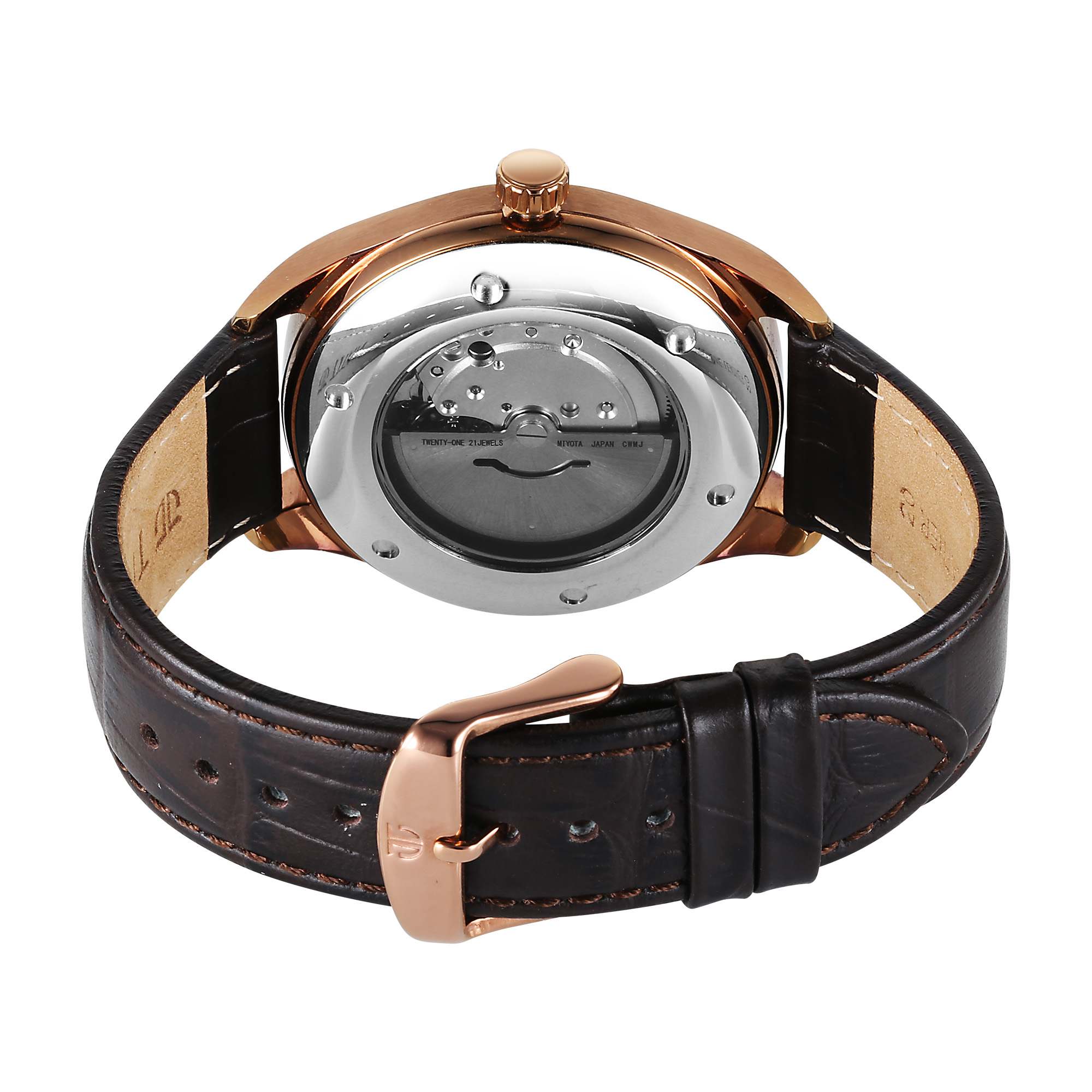 Titan Stellar Starlight Analog with Concealed Automatic and Brown Dial Brown Leather Strap Watch for Men 10051QL01