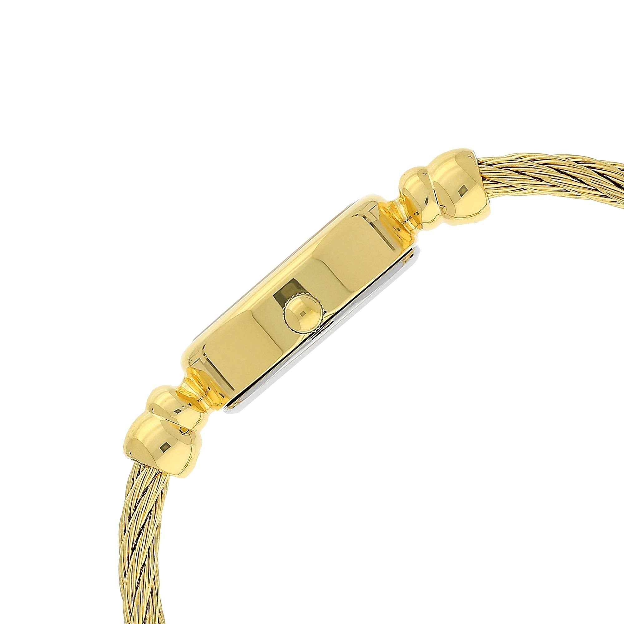 Titan Quartz Analog Mother of Pearl Dial Metal Strap Watch for Women