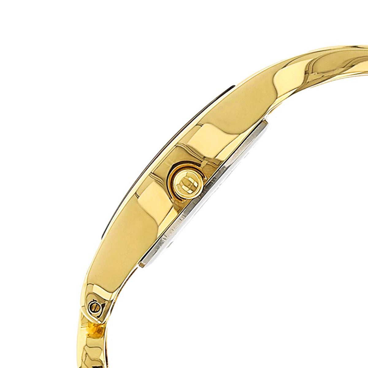 Titan Raga Champagne Dial Alog Watch for Women (2331YM02)