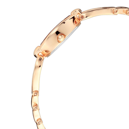 Titan Raga Silver Dial Alog Watch for Women (2455WM01)