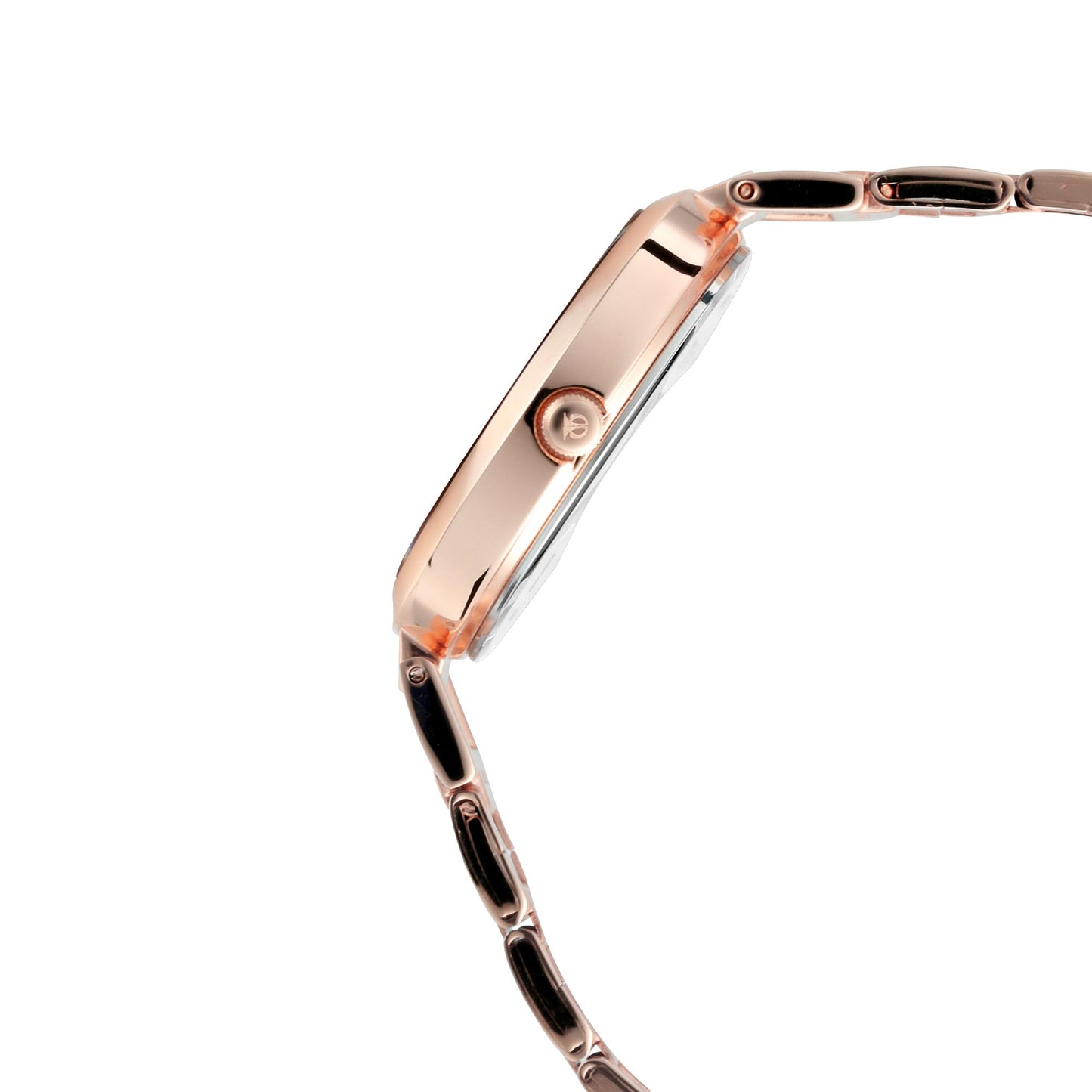 Titan Sparkle Pink Dial Alog Watch for Women (2480WM03)