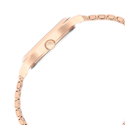 Ladies Karishma Brown Dial Metal Strap Watch (2679WM01)