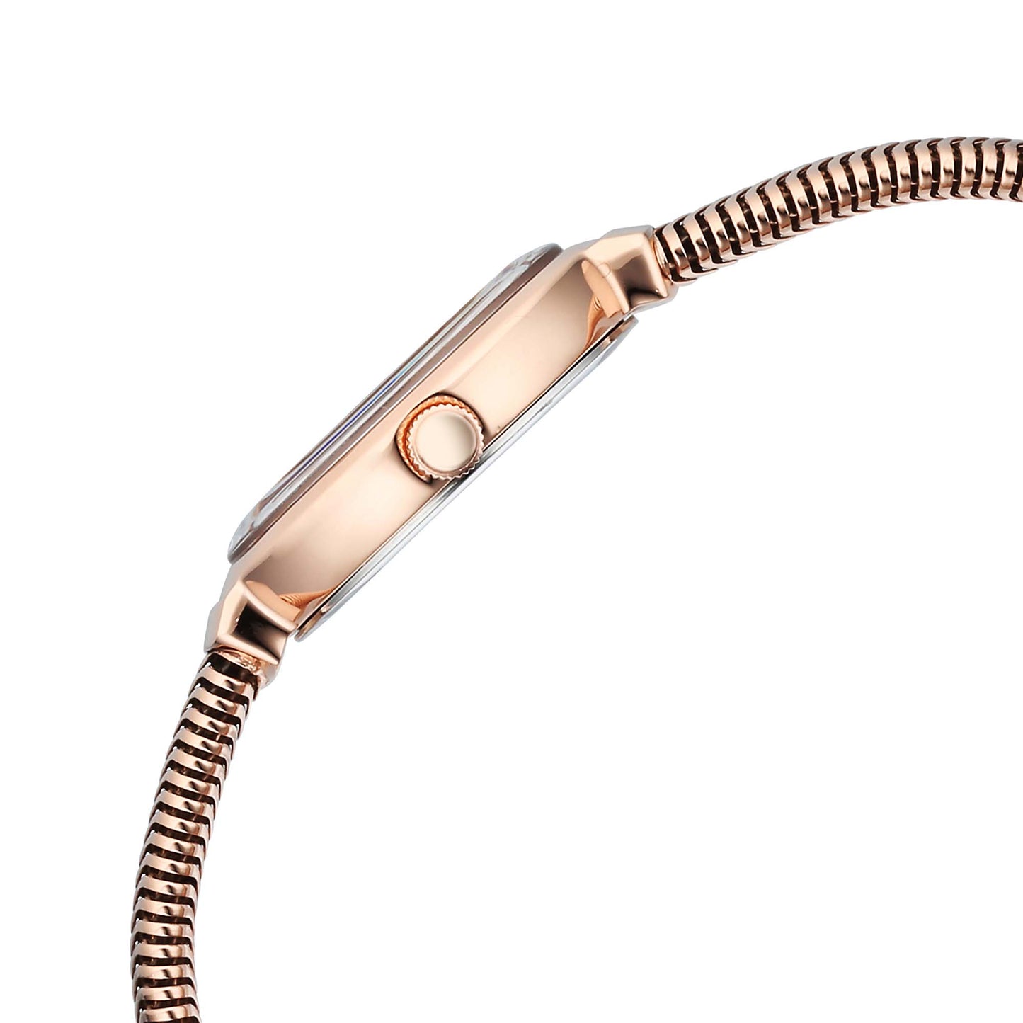 Titan Raga Mother of Pearl Dial Rose Gold Metal Strap Analog Watch for Women