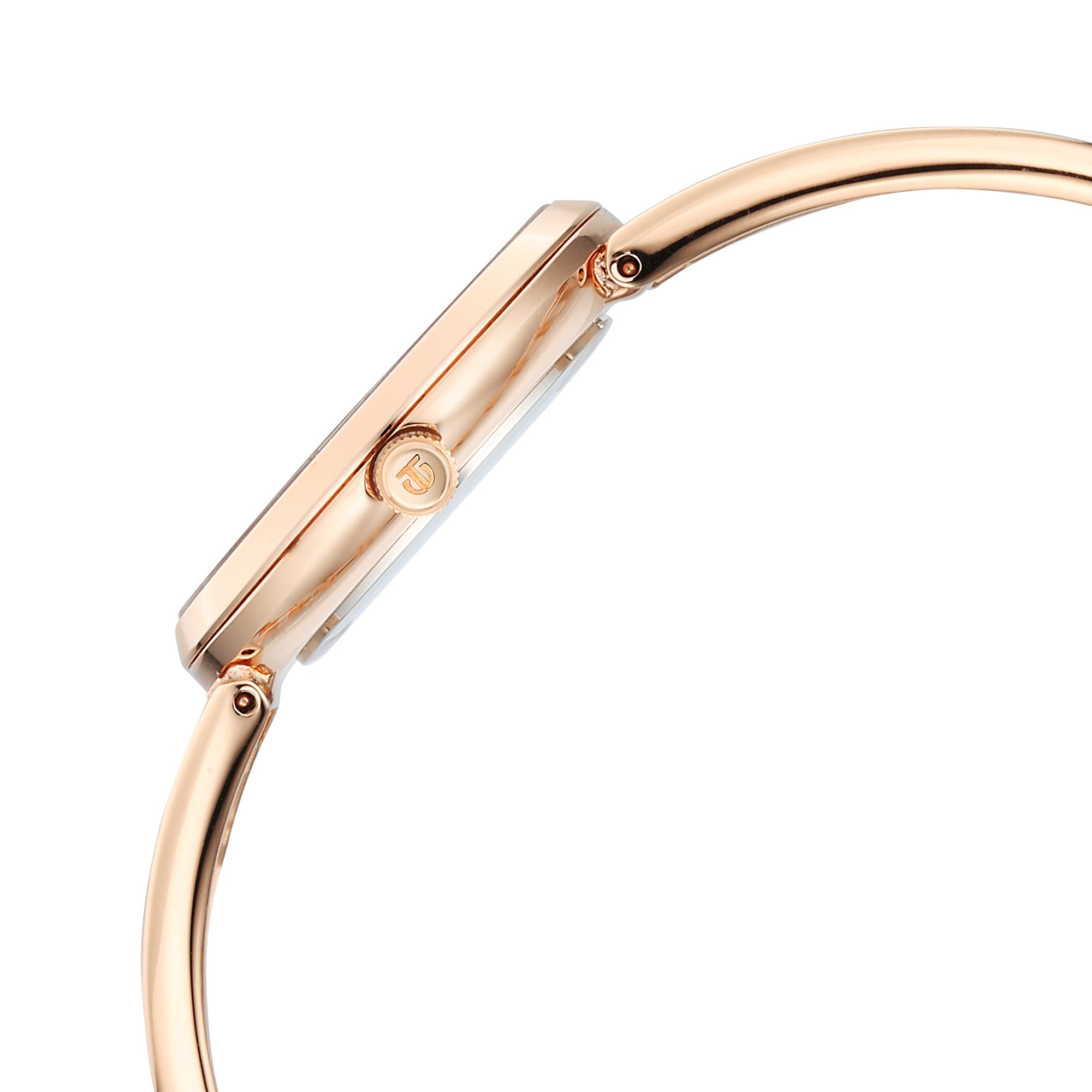 Titan Raga Brown Dial Rose Gold Metal Strap Analog Watch for Women