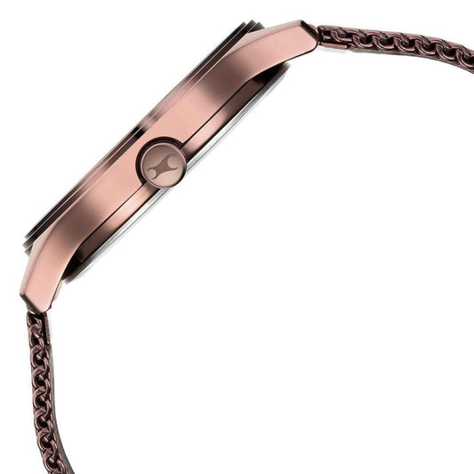 Fastrack Style Up Quartz Alog with Day and Date Brown Dial Stainless Steel Strap Watch for Guys (3247QM02)
