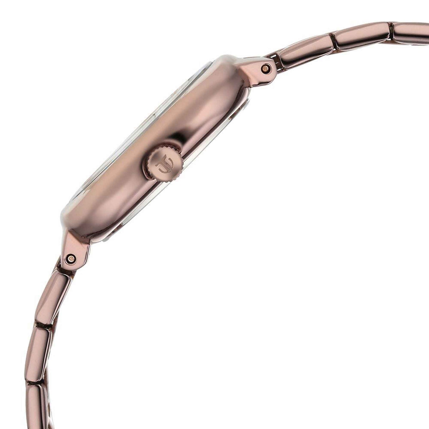 Titan Horizon Quartz Analog Brown Dial Stainless Steel Strap Watch For Women