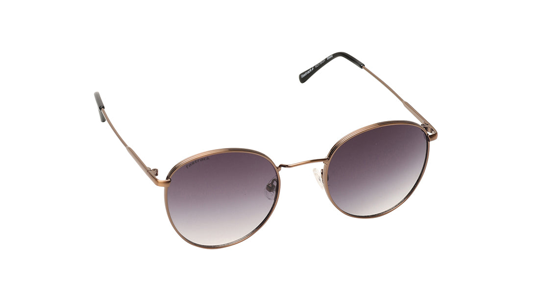 Smoke Gradient Round Rimmed Sunglasses (M257BK8V)