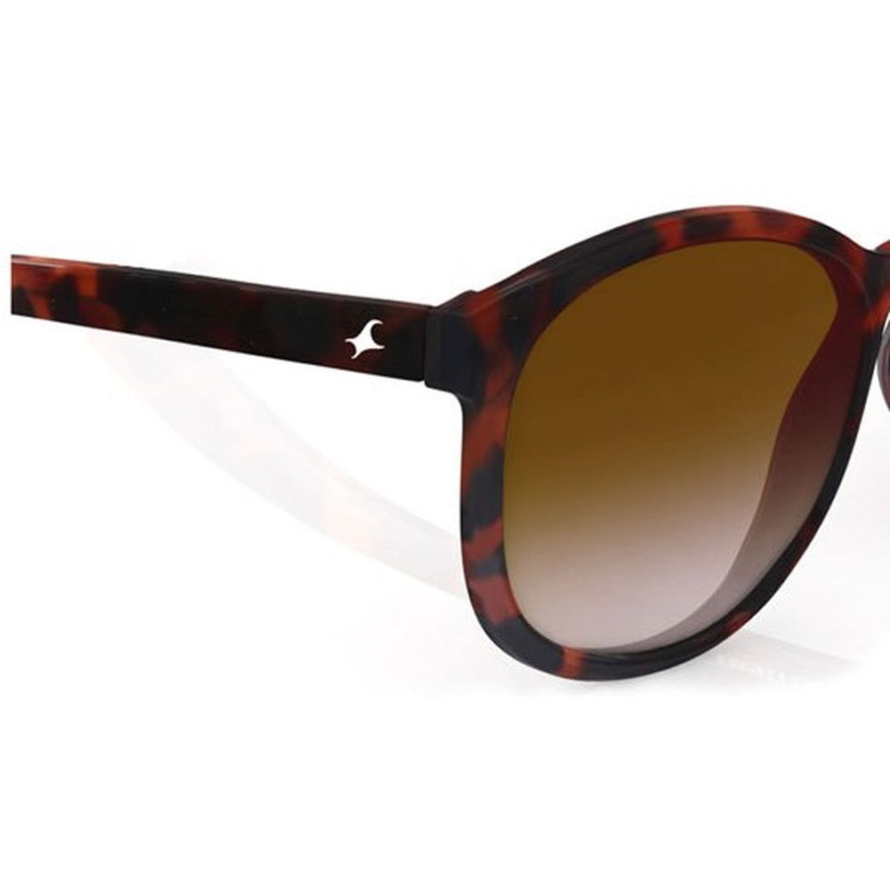 Brown Oval Women Sunglasses