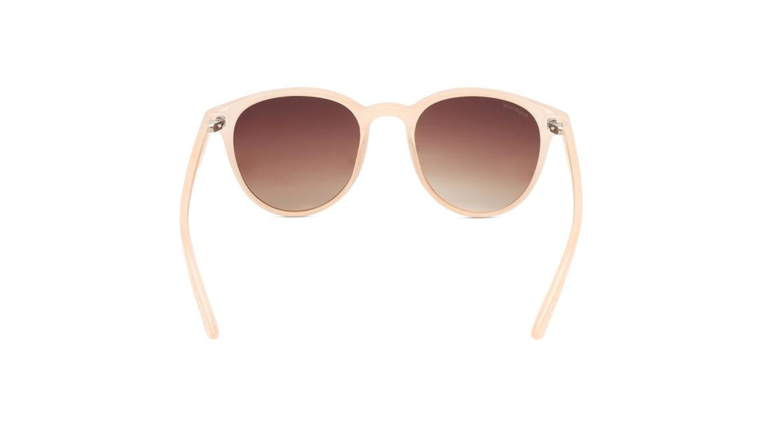 Brown Round Rimmed Sunglasses -P469BR3V