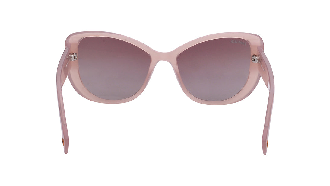 Brown BugEye Rimmed Sunglasses(P481BR1PV)