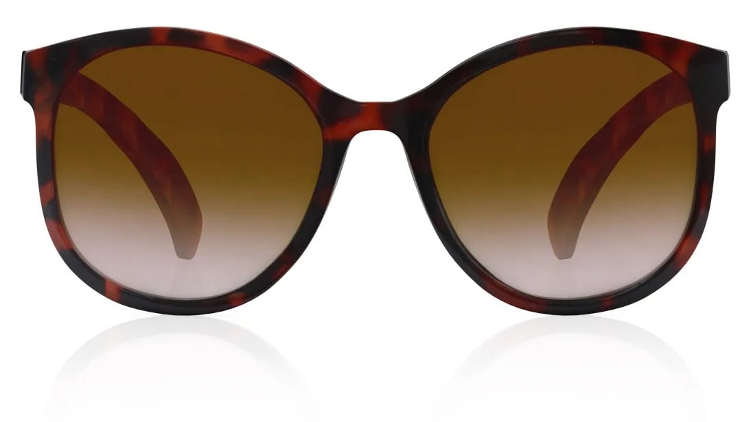 Brown Oval Women Sunglasses